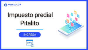 Impuesto predial Pitalito: Consejos y trucos efectivos