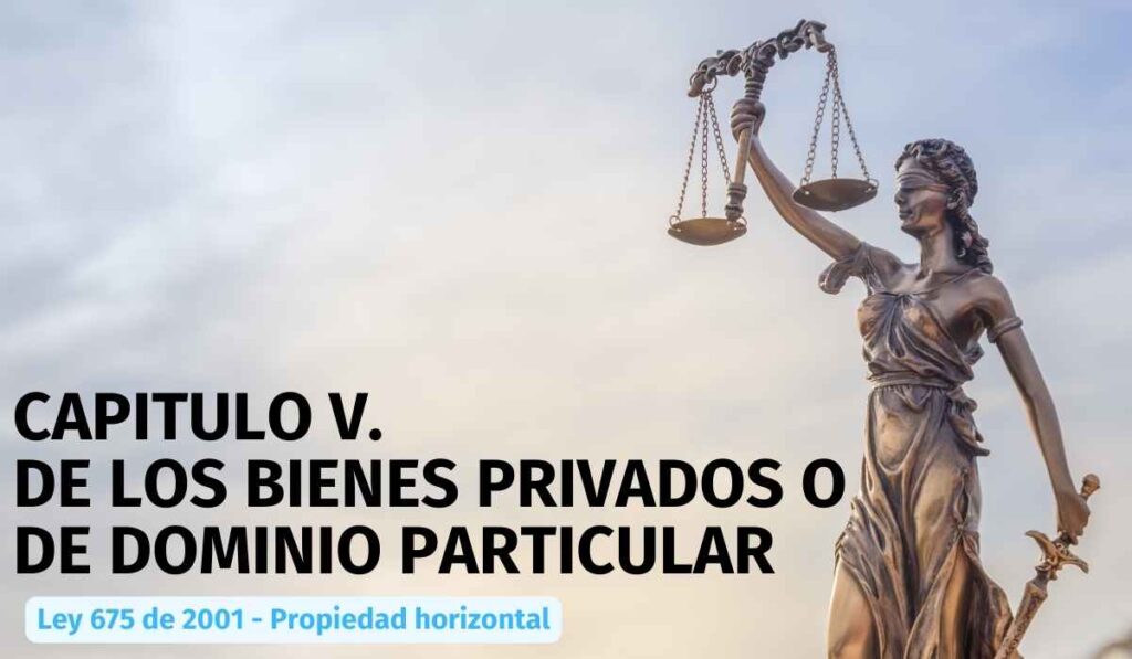 CAPITULO-V-DE-LOS-BIENES-PRIVADOS-O-DE-DOMINIO-PARTICULAR