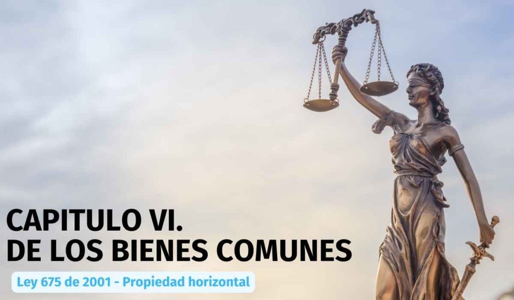 CAPITULO-VI-DE-LOS-BIENES-COMUNES